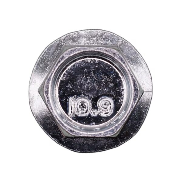 Hex Flange License Plate Screw M6-1.0 x 12mm 50 pcs.
