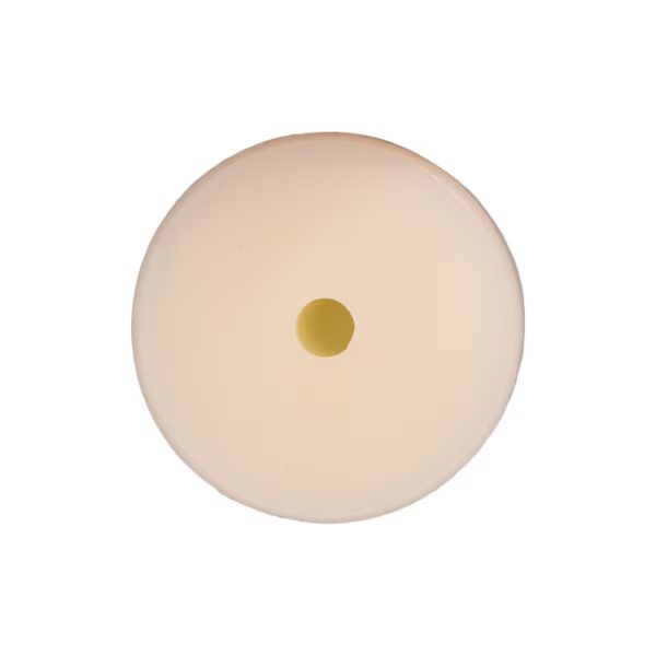 GM Door Trim Panel Retainer White Nylon 15 pcs.