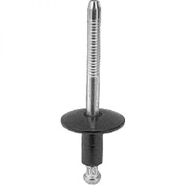 Special Rivet (Ford) 1/4 Dia. 3/4 Flange Dia 25 pcs.