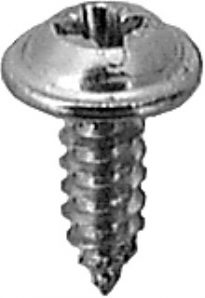 M4.2-1.41 x 12mm Phil Wshr Hd T.S. Chrome 100 pcs.