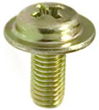 Phil Pan Wshr Hd Lic. Plate Screw M5-.8 x 12mm 100 pcs.