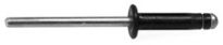 NISSAN SPECIALTY RIVET 25pcs