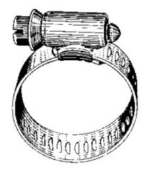 Hose Clamp 10pcs