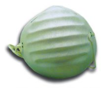 Nuisance Dust Mask 50/Box