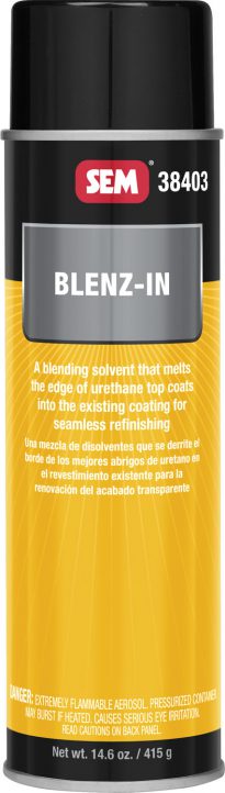 BLENZ IN AEROSOL 20 OZ